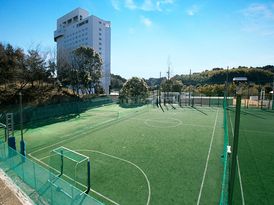 NRT AIR FIELD SPORTS PARK