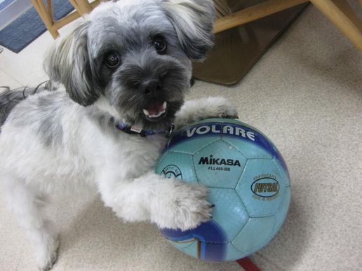 フットサルティーダイン沖縄のテナント写真1