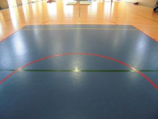 フットサルクラブ東京 八王子体育館/屋内人工芝のテナント写真1