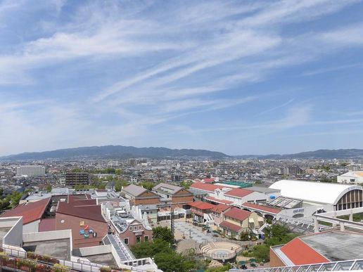 フットサルコートつかしんのテナント写真1