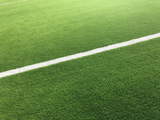 Footy Park Inzaiのテナント写真1