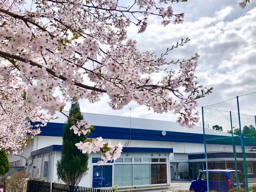 大洗町ビーチテニスクラブのテナント写真1