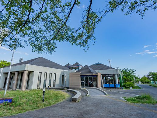 ミズノスポーツプラザ舞洲のテナント写真1