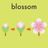 ブロッサムＢ．Ｃの写真